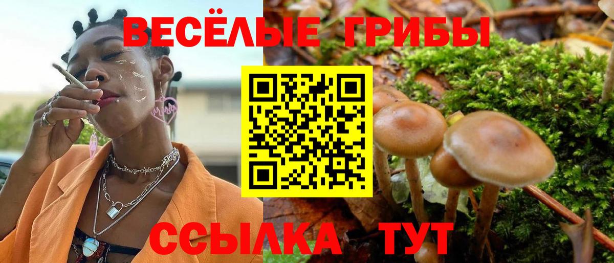 Алексеевка  Галлюциногенные грибы прущие грибы  Псилоцибиновые грибы MAGIC MUSHROOMS  Вход с VPN 